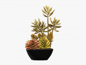 Decorative potted plant 06 3D Model