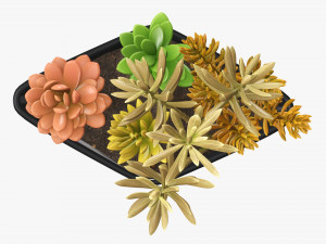 Decorative potted plant 06 3D Model