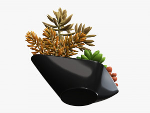 Decorative potted plant 06 3D Model