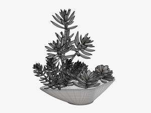 Decorative potted plant 06 3D Model