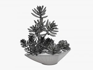 Planta decorativa en maceta 06 Modelo 3D