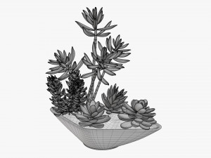 Decorative potted plant 06 3D Model