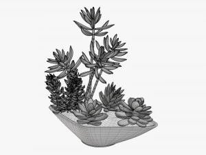 Planta decorativa en maceta 06 Modelo 3D