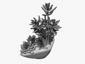 Decorative potted plant 06 3D Model