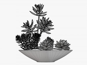 Decorative potted plant 06 3D Model