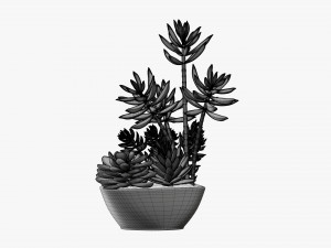 Decorative potted plant 06 3D Model