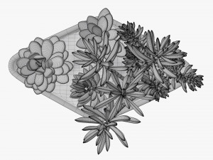 Decorative potted plant 06 3D Model