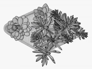 Planta decorativa en maceta 06 Modelo 3D