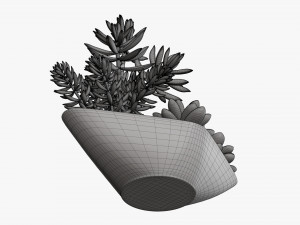 Decorative potted plant 06 3D Model
