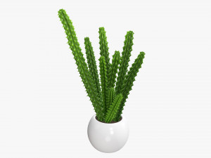 Decorative potted plant 07 Modelo 3D