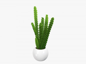 Decorative potted plant 07 Model 3D