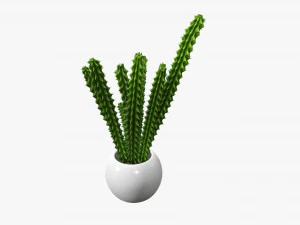 Decorative potted plant 07 3D Model