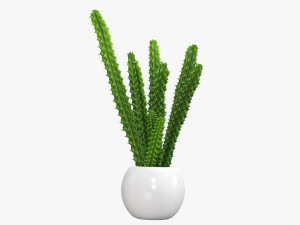 Decorative potted plant 07 Model 3D
