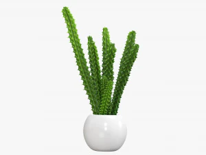 Decorative potted plant 07 3D Model