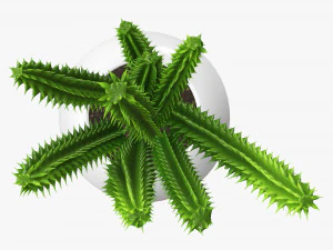 Decorative potted plant 07 3D Model