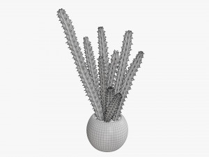 Decorative potted plant 07 Model 3D