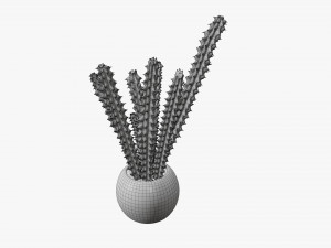 Decorative potted plant 07 Model 3D