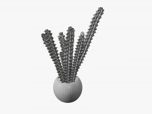 Decorative potted plant 07 3D Model