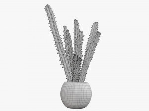 Decorative potted plant 07 Model 3D