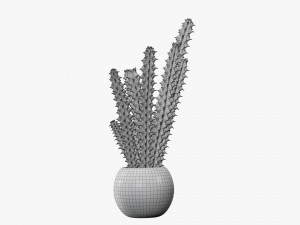 Decorative potted plant 07 Model 3D