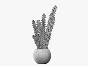 Decorative potted plant 07 3D Model