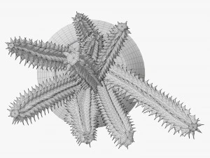 Decorative potted plant 07 3D Model