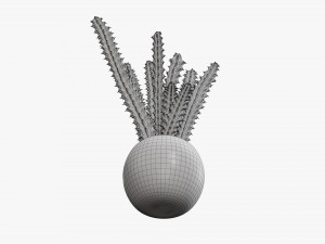 Decorative potted plant 07 Model 3D
