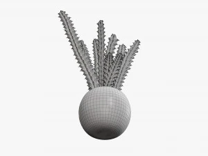 Decorative potted plant 07 3D Model