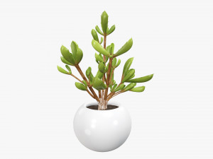 Decorative potted plant 08 Modelo 3D