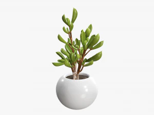 Decorative potted plant 08 3D Model