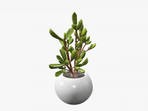 Decorative potted plant 08 3D Model