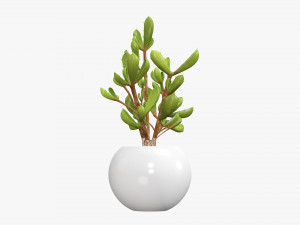 Decorative potted plant 08 Modelo 3D