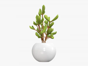 Decorative potted plant 08 3D Model
