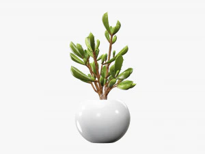 Decorative potted plant 08 3D Model