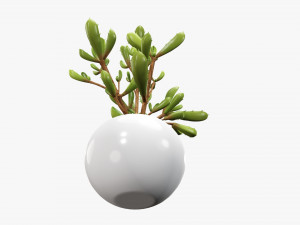 Decorative potted plant 08 Modelo 3D