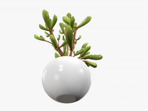Decorative potted plant 08 3D Model