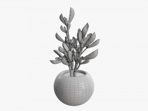 Decorative potted plant 08 Modelo 3D