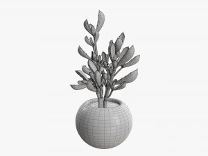 Decorative potted plant 08 3D Model
