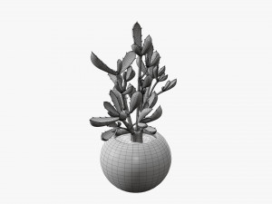 Decorative potted plant 08 Modelo 3D