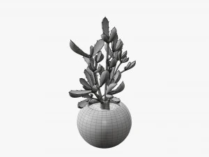 Decorative potted plant 08 3D Model