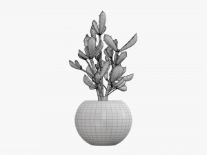 Decorative potted plant 08 Modelo 3D