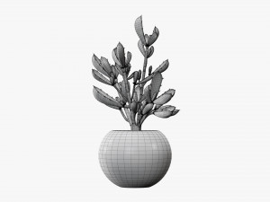 Decorative potted plant 08 Modelo 3D