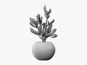 Decorative potted plant 08 3D Model