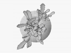 Decorative potted plant 08 Modelo 3D