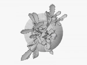Decorative potted plant 08 3D Model