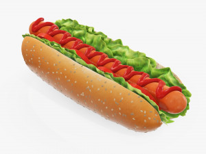 Hot dog with ketchup salad tomato seeds 3D Model