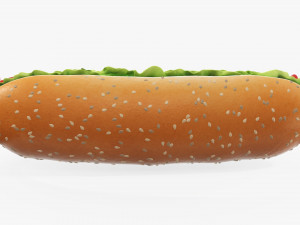Hot dog with ketchup salad tomato seeds 3D Model