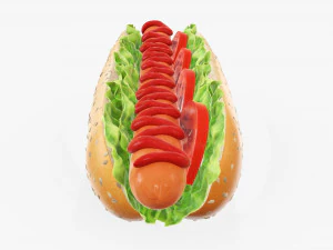 Hot dog with ketchup salad tomato seeds 3D Model