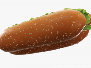 Hot dog with ketchup salad tomato seeds 3D Model