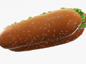 Hot dog with ketchup salad tomato seeds 3D Model